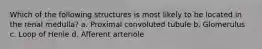 Which of the following structures is most likely to be located in the renal medulla? a. Proximal convoluted tubule b. Glomerulus c. Loop of Henle d. Afferent arteriole