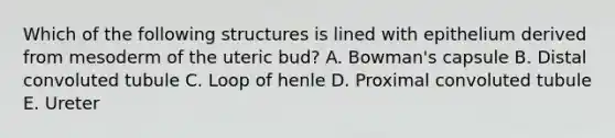 Which of the following structures is lined with epithelium derived from mesoderm of the uteric bud? A. Bowman's capsule B. Distal convoluted tubule C. Loop of henle D. Proximal convoluted tubule E. Ureter