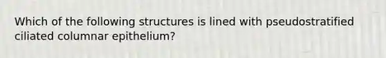 Which of the following structures is lined with pseudostratified ciliated columnar epithelium?