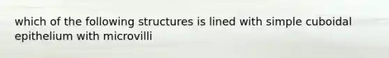 which of the following structures is lined with simple cuboidal epithelium with microvilli