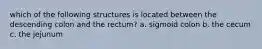 which of the following structures is located between the descending colon and the rectum? a. sigmoid colon b. the cecum c. the jejunum