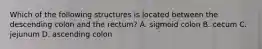 Which of the following structures is located between the descending colon and the rectum? A. sigmoid colon B. cecum C. jejunum D. ascending colon