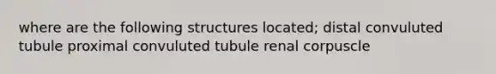 where are the following structures located; distal convuluted tubule proximal convuluted tubule renal corpuscle