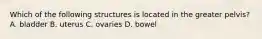 Which of the following structures is located in the greater pelvis? A. bladder B. uterus C. ovaries D. bowel