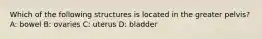 Which of the following structures is located in the greater pelvis? A: bowel B: ovaries C: uterus D: bladder