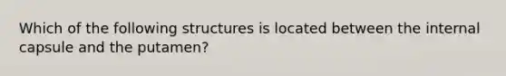 Which of the following structures is located between the internal capsule and the putamen?