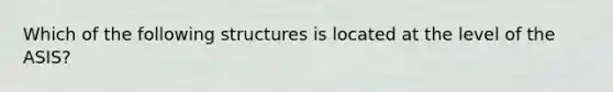 Which of the following structures is located at the level of the ASIS?