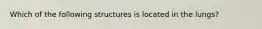 Which of the following structures is located in the lungs?