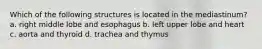 Which of the following structures is located in the mediastinum? a. right middle lobe and esophagus b. left upper lobe and heart c. aorta and thyroid d. trachea and thymus