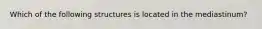 Which of the following structures is located in the mediastinum?