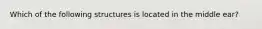 Which of the following structures is located in the middle ear?