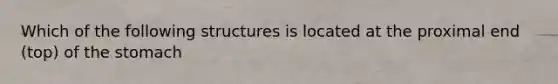 Which of the following structures is located at the proximal end (top) of the stomach