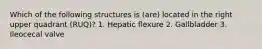 Which of the following structures is (are) located in the right upper quadrant (RUQ)? 1. Hepatic flexure 2. Gallbladder 3. Ileocecal valve