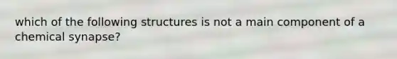 which of the following structures is not a main component of a chemical synapse?