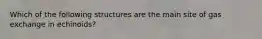 Which of the following structures are the main site of gas exchange in echinoids?