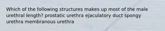 Which of the following structures makes up most of the male urethral length? prostatic urethra ejaculatory duct spongy urethra membranous urethra