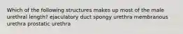 Which of the following structures makes up most of the male urethral length? ejaculatory duct spongy urethra membranous urethra prostatic urethra