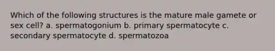 Which of the following structures is the mature male gamete or sex cell? a. spermatogonium b. primary spermatocyte c. secondary spermatocyte d. spermatozoa