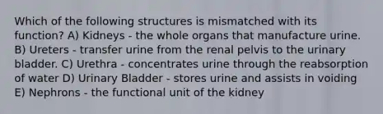 Which of the following structures is mismatched with its function? A) Kidneys - the whole organs that manufacture urine. B) Ureters - transfer urine from the renal pelvis to the urinary bladder. C) Urethra - concentrates urine through the reabsorption of water D) Urinary Bladder - stores urine and assists in voiding E) Nephrons - the functional unit of the kidney