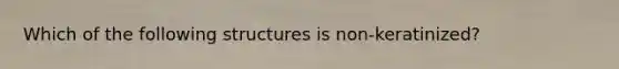 Which of the following structures is non-keratinized?