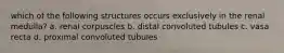 which of the following structures occurs exclusively in the renal medulla? a. renal corpuscles b. distal convoluted tubules c. vasa recta d. proximal convoluted tubules