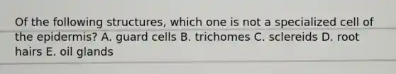 Of the following structures, which one is not a specialized cell of the epidermis? A. guard cells B. trichomes C. sclereids D. root hairs E. oil glands