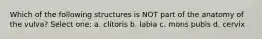 Which of the following structures is NOT part of the anatomy of the vulva? Select one: a. clitoris b. labia c. mons pubis d. cervix