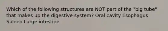 Which of the following structures are NOT part of the "big tube" that makes up the digestive system? Oral cavity Esophagus Spleen Large intestine