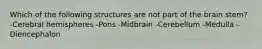 Which of the following structures are not part of the brain stem? -Cerebral hemispheres -Pons -Midbrain -Cerebellum -Medulla -Diencephalon