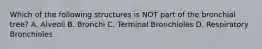 Which of the following structures is NOT part of the bronchial tree? A. Alveoli B. Bronchi C. Terminal Bronchioles D. Respiratory Bronchioles