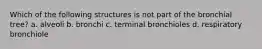 Which of the following structures is not part of the bronchial tree? a. alveoli b. bronchi c. terminal bronchioles d. respiratory bronchiole