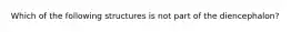 Which of the following structures is not part of the diencephalon?