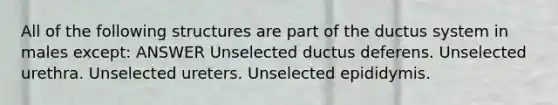 All of the following structures are part of the ductus system in males except: ANSWER Unselected ductus deferens. Unselected urethra. Unselected ureters. Unselected epididymis.