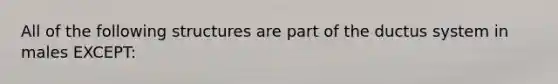 All of the following structures are part of the ductus system in males EXCEPT: