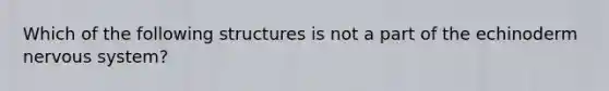 Which of the following structures is not a part of the echinoderm nervous system?