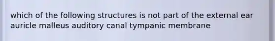 which of the following structures is not part of the external ear auricle malleus auditory canal tympanic membrane