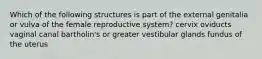 Which of the following structures is part of the external genitalia or vulva of the female reproductive system? cervix oviducts vaginal canal bartholin's or greater vestibular glands fundus of the uterus