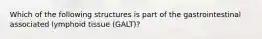 Which of the following structures is part of the gastrointestinal associated lymphoid tissue (GALT)?