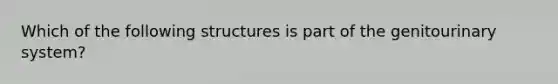 Which of the following structures is part of the genitourinary system?