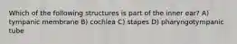 Which of the following structures is part of the inner ear? A) tympanic membrane B) cochlea C) stapes D) pharyngotympanic tube