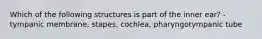 Which of the following structures is part of the inner ear? -tympanic membrane, stapes, cochlea, pharyngotympanic tube