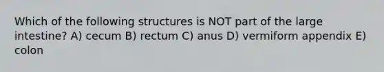 Which of the following structures is NOT part of the large intestine? A) cecum B) rectum C) anus D) vermiform appendix E) colon