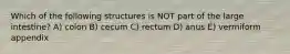 Which of the following structures is NOT part of the large intestine? A) colon B) cecum C) rectum D) anus E) vermiform appendix