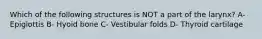 Which of the following structures is NOT a part of the larynx? A- Epiglottis B- Hyoid bone C- Vestibular folds D- Thyroid cartilage