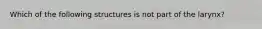 Which of the following structures is not part of the larynx?