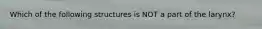 Which of the following structures is NOT a part of the larynx?