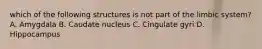 which of the following structures is not part of the limbic system? A. Amygdala B. Caudate nucleus C. Cingulate gyri D. Hippocampus