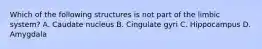 Which of the following structures is not part of the limbic system? A. Caudate nucleus B. Cingulate gyri C. Hippocampus D. Amygdala