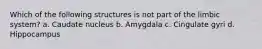 Which of the following structures is not part of the limbic system? a. Caudate nucleus b. Amygdala c. Cingulate gyri d. Hippocampus