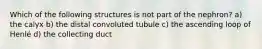 Which of the following structures is not part of the nephron? a) the calyx b) the distal convoluted tubule c) the ascending loop of Henlé d) the collecting duct